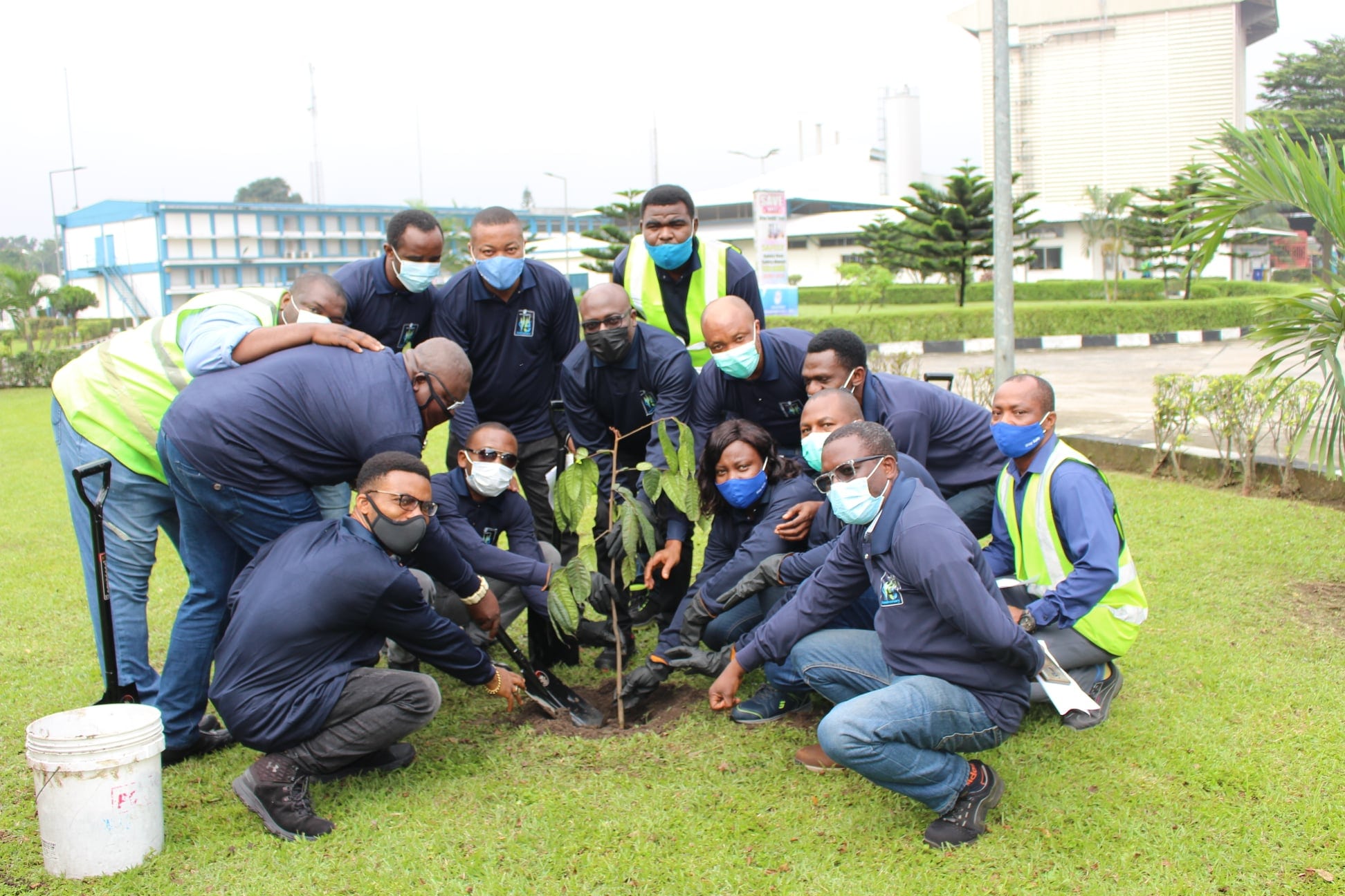 Tree-planting exercise Aba & Awo
