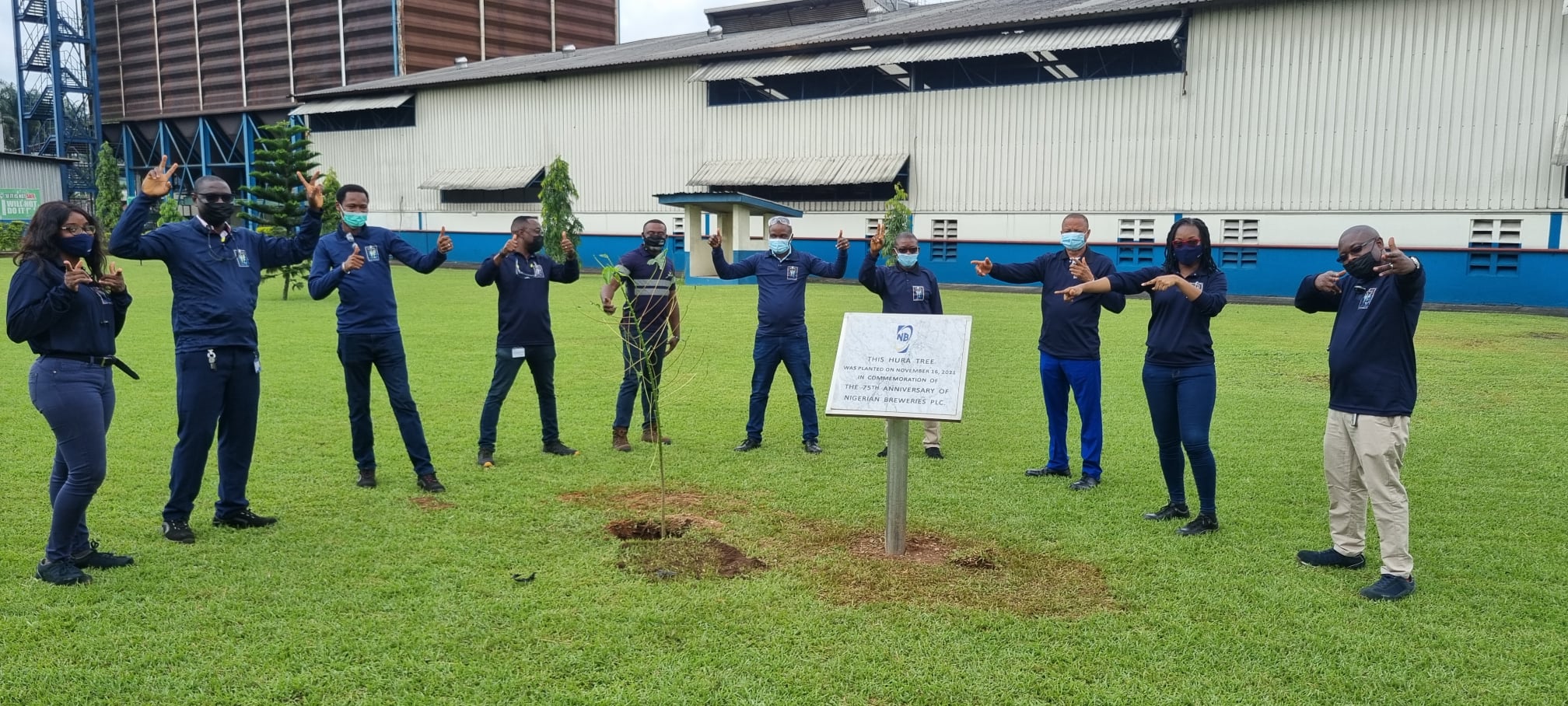 Tree-planting exercise Aba & Awo