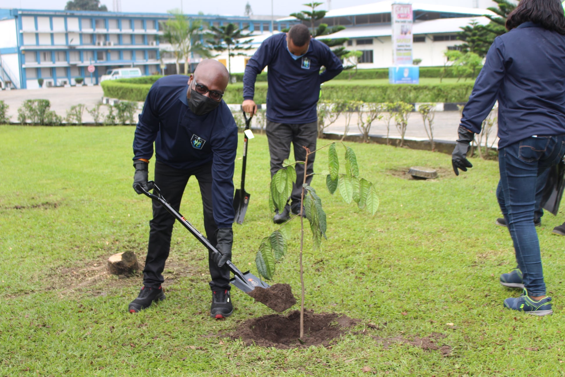 Tree-planting exercise Aba & Awo