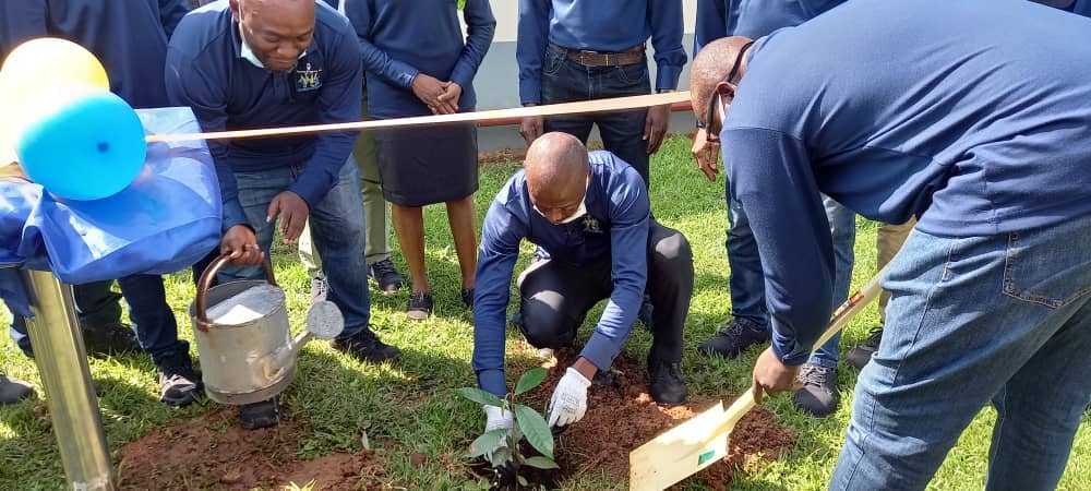 Tree-planting exercise Ijebu ode